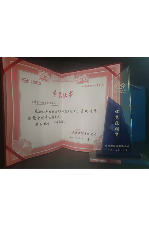 龙泉市比亚迪2018优秀经销商