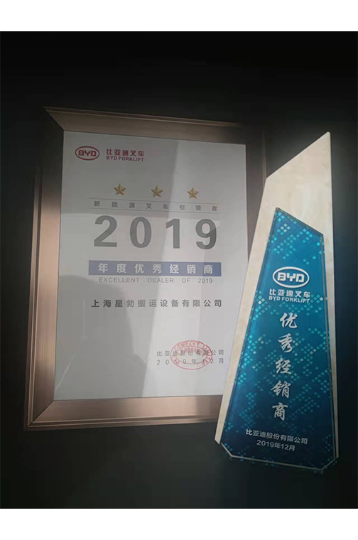 龙泉市比亚迪2019优秀经销商